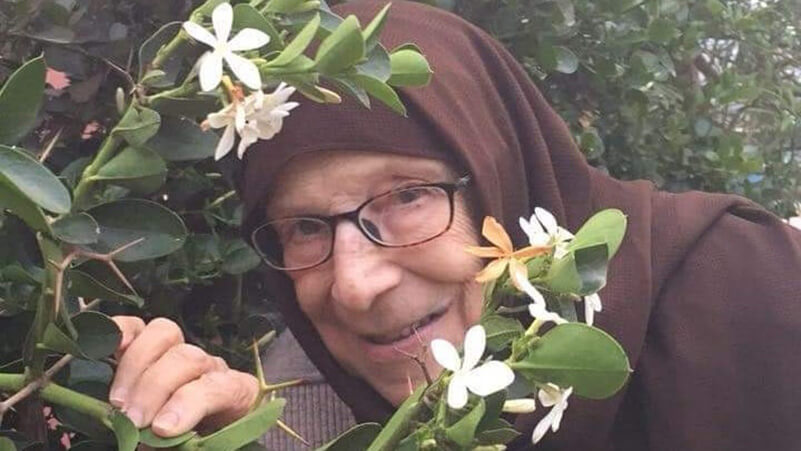 War on Gaza Israeli army forces family to leave 94 year old grandmother behind