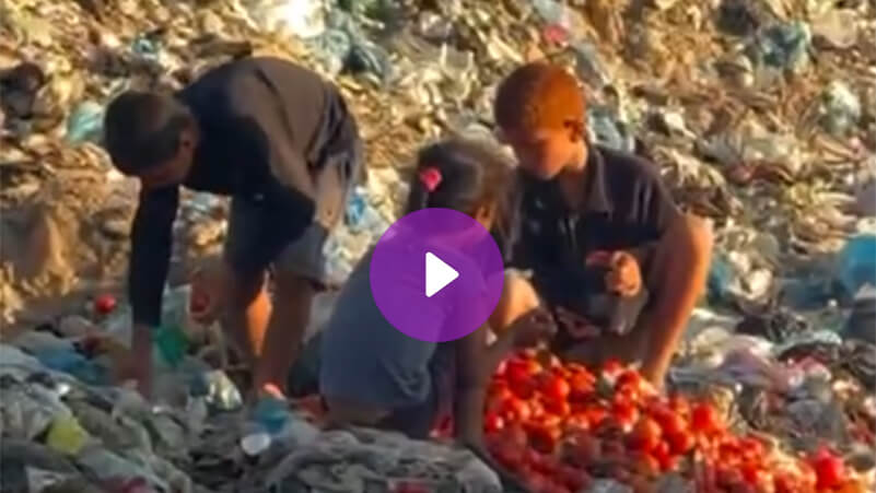 مشاهد صادمة لأطفال يبحثون عن الطعام من القمامة بغزة