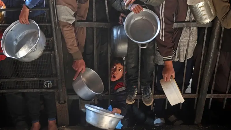 Gaza aid crisis NGOs fear Israeli crackdown as mass starvation looms