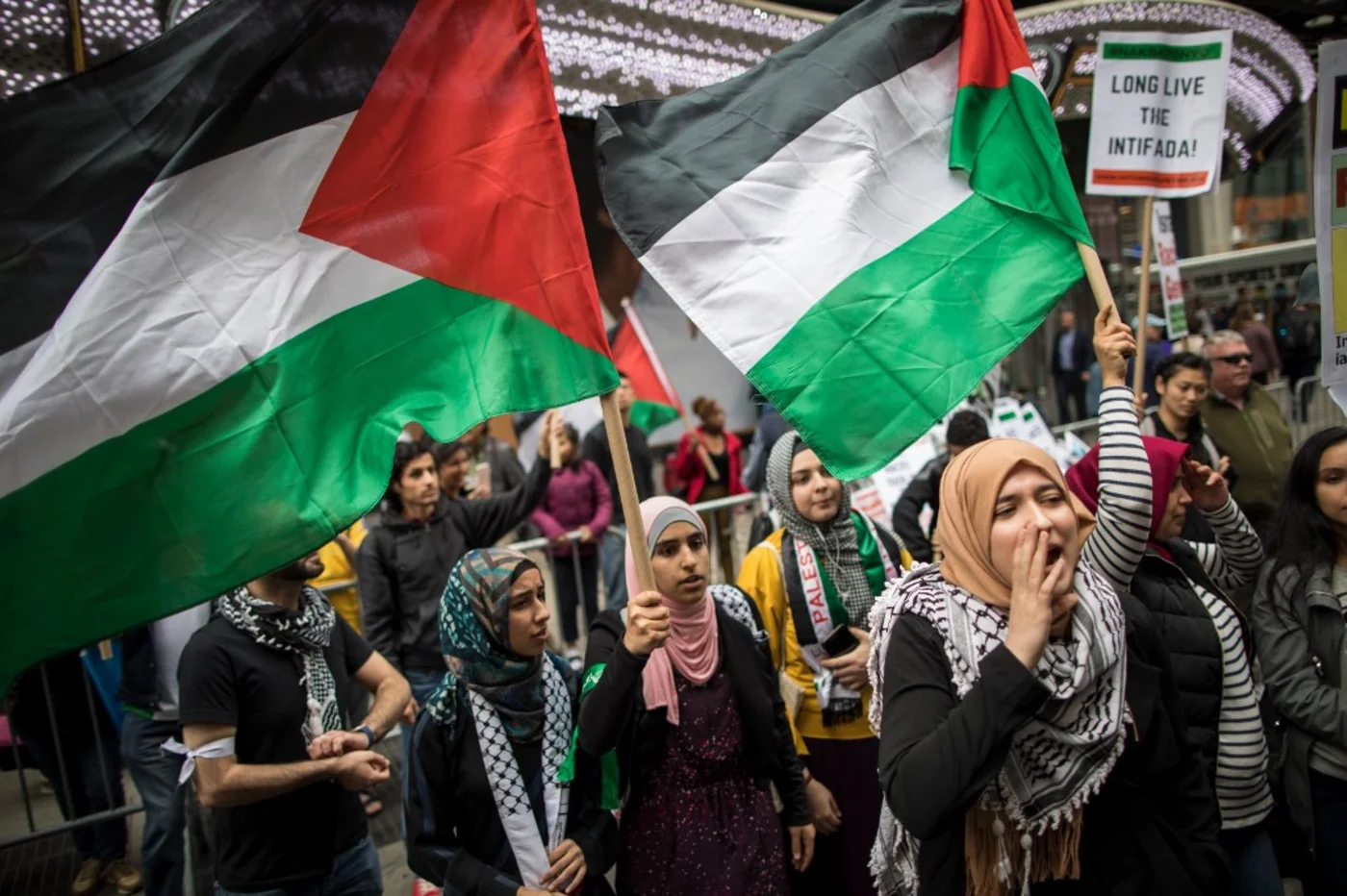 palestine rally nyc afp.jpg