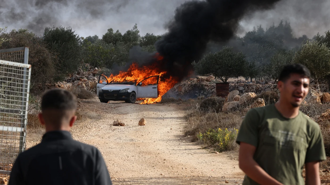 cropped 000 79B67H3.jpg