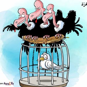 ترند 3 مجلس السلام في غزة