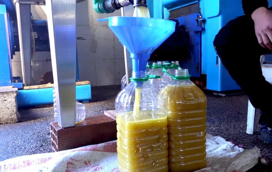 مقايضة الأواني بزجاجة من زيت الزيتون…. انهيار اقتصادي عميق في الضفة الغربية